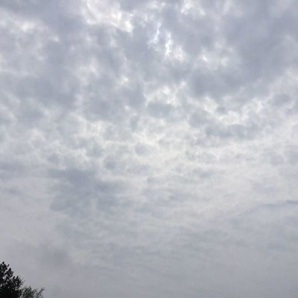 Meet your Posher, Kathleen - Picture 1 of 1